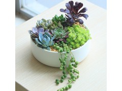 乾隆孝粉玉碗价格评估专家图3