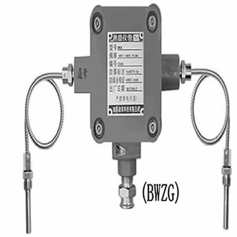 BWZD3防爆温度传感器图3