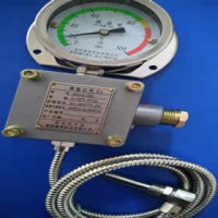 WTZd-285Z,WTZd-285Z/2防爆仪表