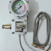 BWTY-205z/BWTY-205Z/2防爆仪表