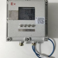 BWSJ-122A防爆温湿度变松仪,防爆温湿度表,防爆温湿度计