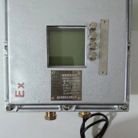 BWSJ-122B防爆温湿度变松仪,防爆温湿度表,防爆温湿度计