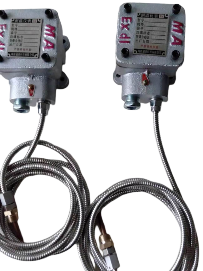 BWZD3，WZD3，BWZD隔爆型温度传感器图2