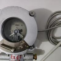 WTZD-286系列防爆电接点温度表，经得起第三方检测中心检测,入库验收包过