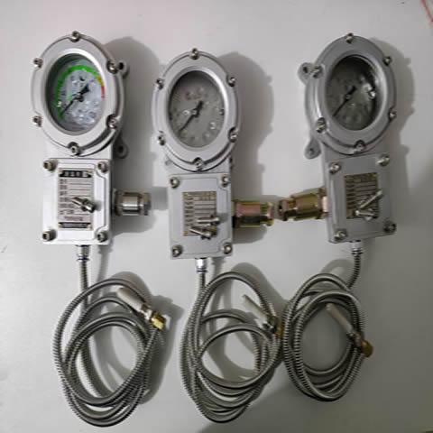 BWTY-205z防爆仪表经得起第三方检测中心检测，入库验收包过图4