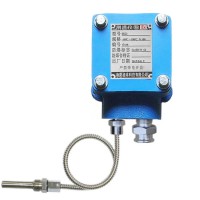 防爆电机轴瓦专用测温装置BWZD3系列，工业级，高精度，经得起第三方检测中心检测，入库验收包过