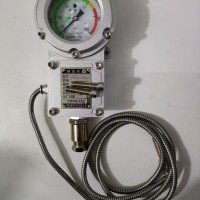 BWTY-205z/2系列防爆仪表经得起第三方检测中心检测，入库验收包过