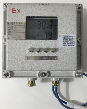 BWSJ122防爆温湿度仪，经得起第三方检测中心检测，入库验收包过