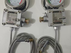 WTZD-285Z防爆仪表