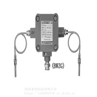 WZG/BWZG/WZGJ/WZG-F系列测温装置