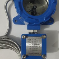WTR-100D防爆电接点温度计,电接点温度计
