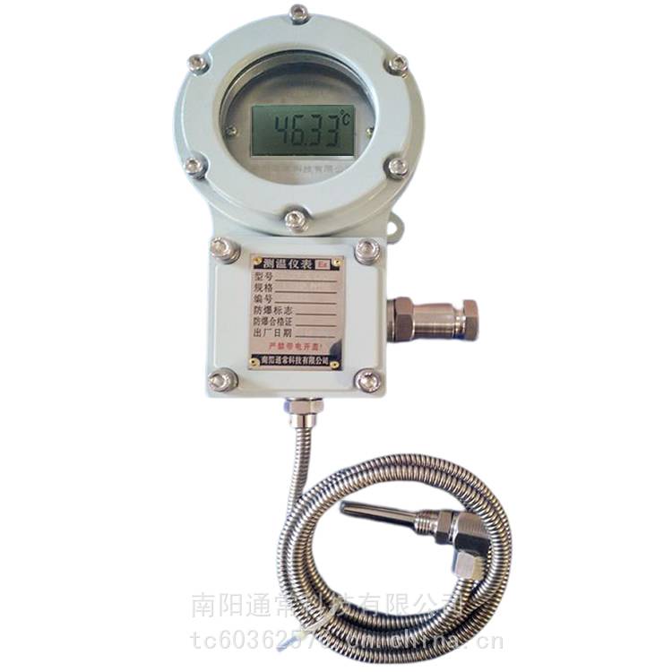 自供电测温仪表、防爆自供电测温仪表、防爆仪表,防爆电子温度计,BNZD-1