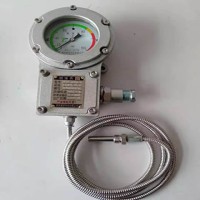 BWTY-205z/2防爆仪表经得起第三方检测中心检测