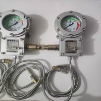 BWTY-203z防爆仪表，带hart协议功能，经得起第三方检测中心检测，入库验收包过