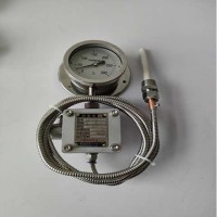 WTZD-283Z防爆仪表，带hart协议功能，经得起第三方检测中心检测，入库验收包过