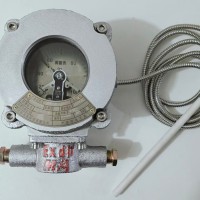 防爆电接点温度计、WTZd-288、WTZd-287、WTZd-286 温度计内部设有上、下限两个电接点，温度设定可根据用户要求进行设定。