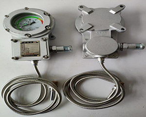 防爆仪表BWTY-205z/BWTY-205Z/2