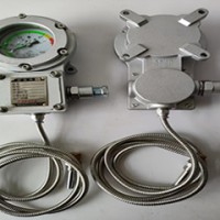 防爆仪表BWTY-205z/BWTY-205Z/2