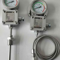 WTZD-285Z/WTZD-285Z/2防爆仪表