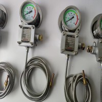 防爆测温仪表WTZd-285z系列，高精度，经得起第三方检测中心检测，入库验收包过！