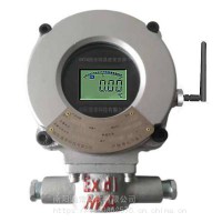 防爆无线温度变送器,防爆无线温度测试装置,防爆无线温度表