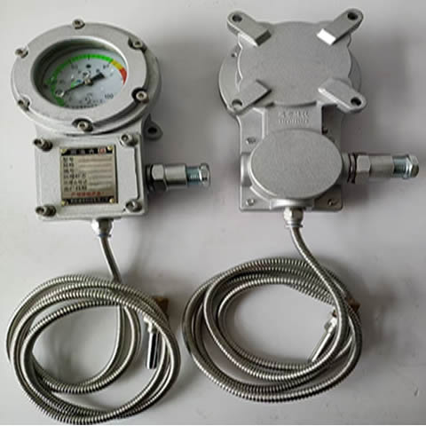 BWTY-205z防爆仪表经得起第三方检测中心检测,入库验收包过