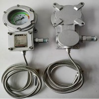 BWTY-205z防爆仪表经得起第三方检测中心检测，入库验收包过