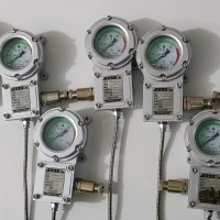 BWTY-203z防爆仪表，带hart协议功能，经得起第三方检测中心检测，入库验收包过