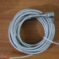 轴瓦专用热电阻测温原件 轴瓦专用测温线