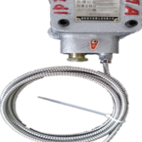 防爆温度传感器BWZD3系列，高精度，经得起第三方检测中心检测，入库验收包过！