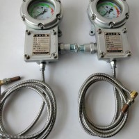 BWTY-205z防爆仪表