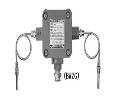BWZG/WZG系列防尘防爆温度传感器