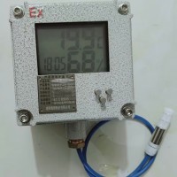 BWSJ-122(基础款)防爆温湿度变松仪