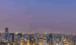 日式餐料 水产品 金 鱼 寿司醋